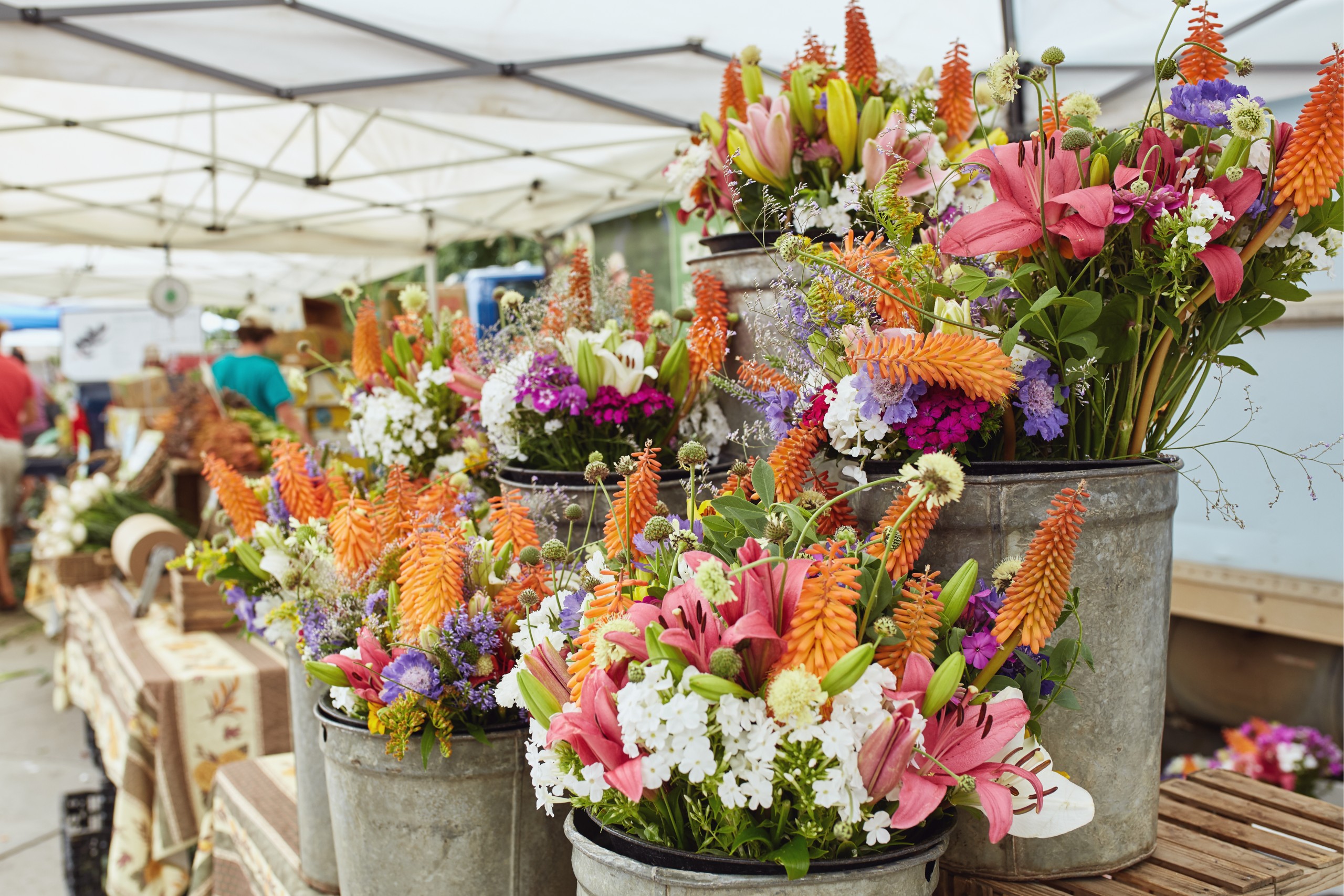 Fresh colorful flowers at an open air market